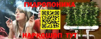 гидропоника Добрянка