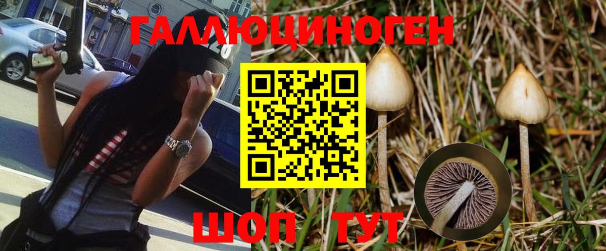 Галлюциногенные грибы Psilocybe  цена   Воркута  Вход с VPN 