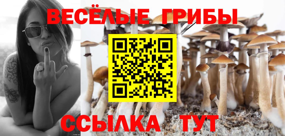 Галлюциногенные грибы ЛСД Воркута